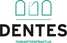 logo-no-bg-300x193